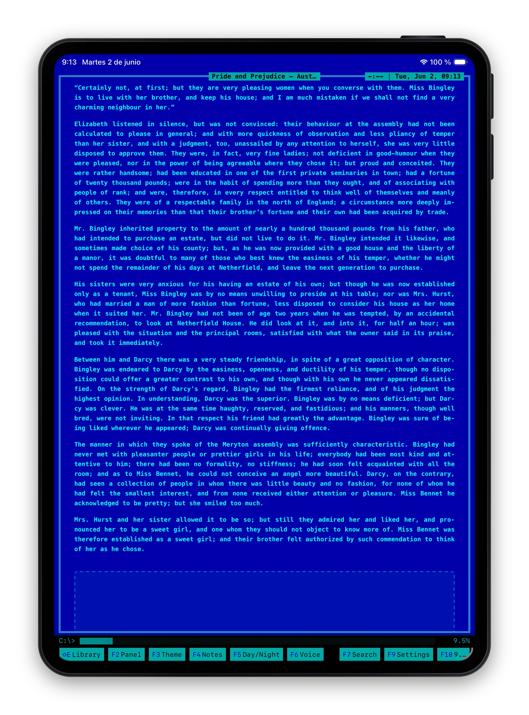 iPad Norton theme