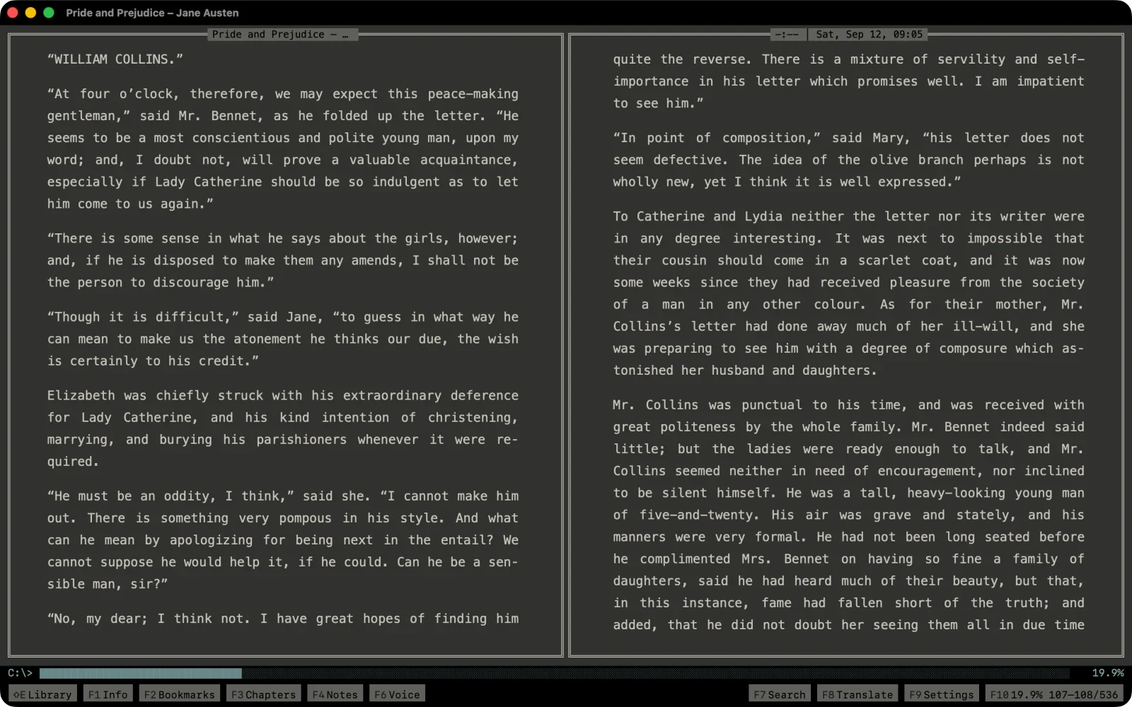 The Terminal theme by night: grey on near-black, two columns
