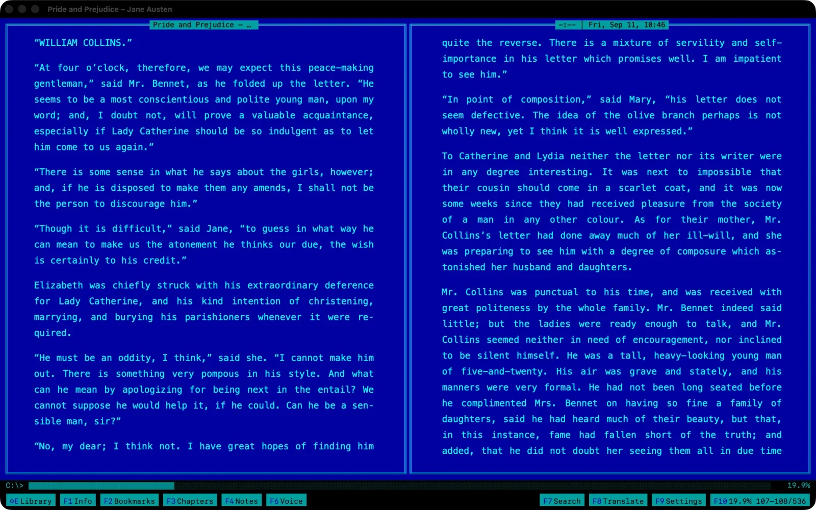 The Terminal theme by day: white monospace on deep blue, two columns